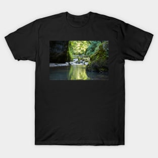 Galbena river and canyon T-Shirt